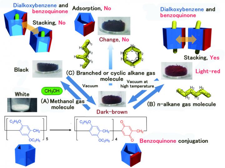 Figure 3: Adsorption of Alkane Vapor in a Configuration Selective Manner and Resultant Color Change