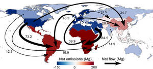 Global mercury flows