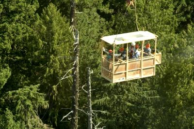 Canopy Crane Gondola