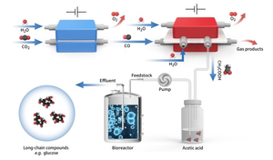 Schematic diagram of in vitro carbon dioxide synthesis of high energy long chain food molecules