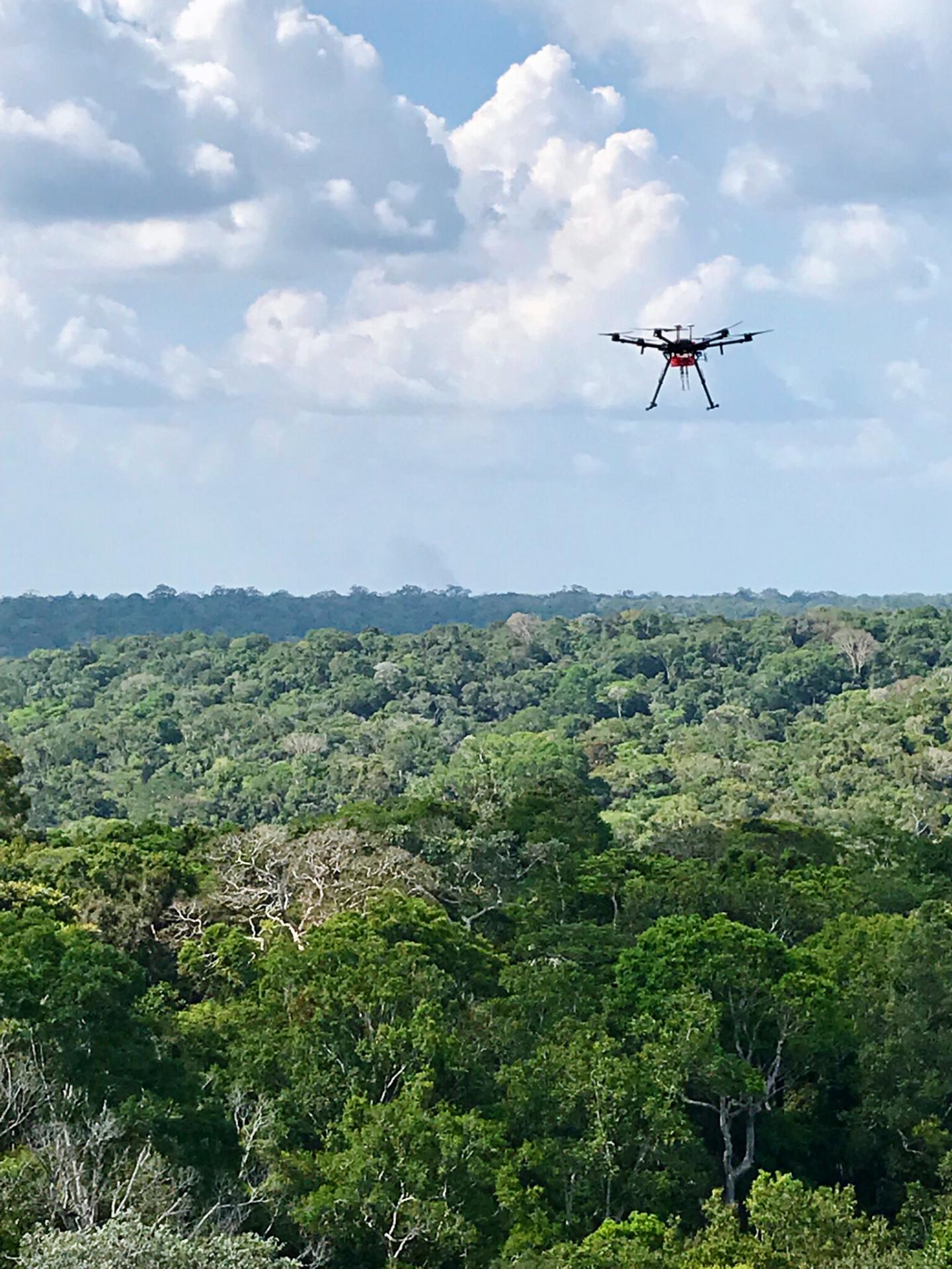 Drone with Biomass Burning Background