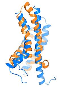 The 'Pacemaker' Channel