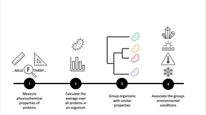 Figure of the research strategy