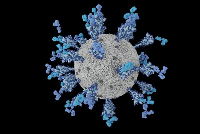 Neutralizing antibodies binding SARS-CoV-2 spike protein