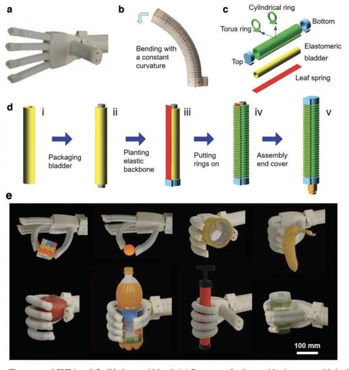 Soft robotic gripper uses nothing but air to grasp and release objects