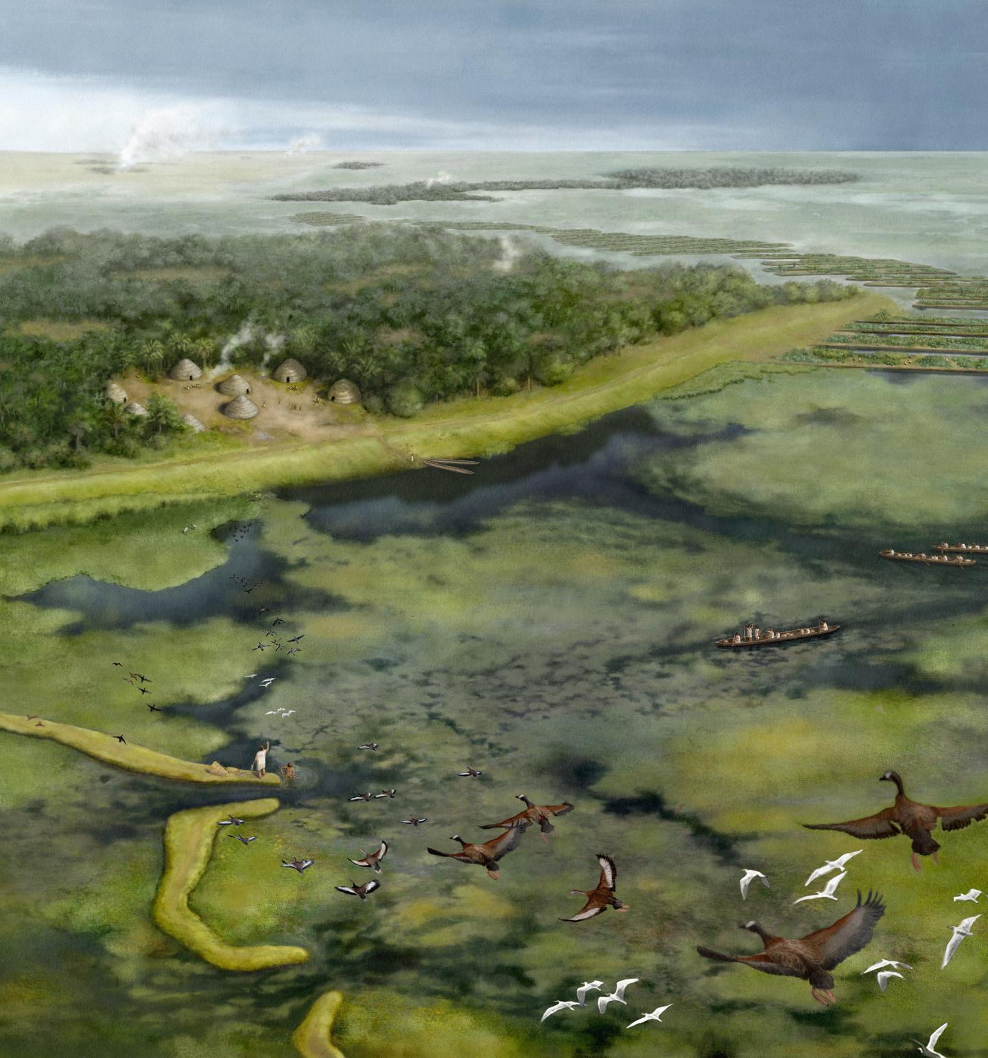 Reconstructed landscape in the Llanos de Mojos, Bolivia.