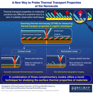 A New Way to Probe Thermal Transport Properties at the Nanoscale