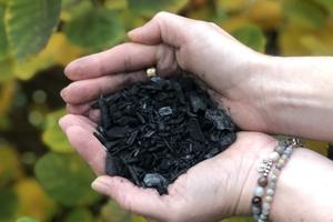 Biochar