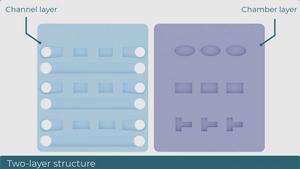 Recoverable-Spheroid-on-a-Chip with Unrestricted External Shape (ReSCUE) platform