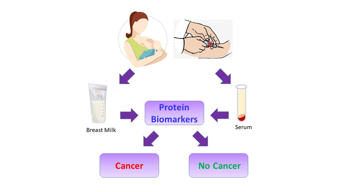 Biomarkers for Breast Cancer