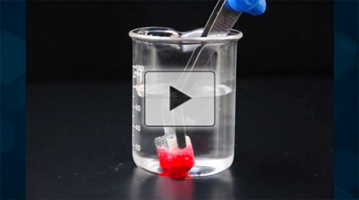 Wood Sponge Soaks up Oil from Water (Video)