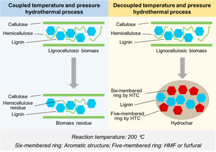 THE PERFORMANCE OF DECOUPLED TEMPERATURE AND PRESSURE HYDROTHERMAL PROCESS.