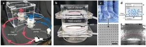 Figure 2. Actual configuration of an air filtration system simulating the human circulatory system/respiratory tract