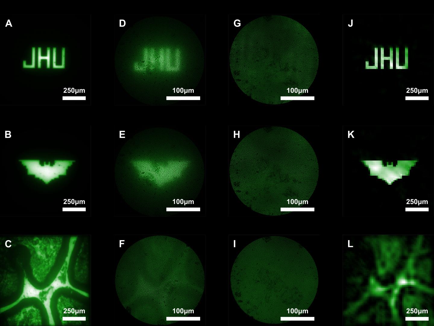 Imaging Results