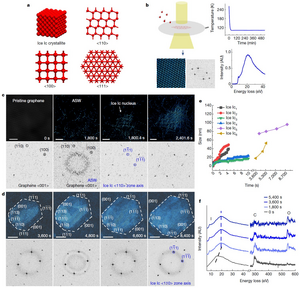 Observation of cubic ice formation on graphene at 102 K by in situ cryogenic TEM