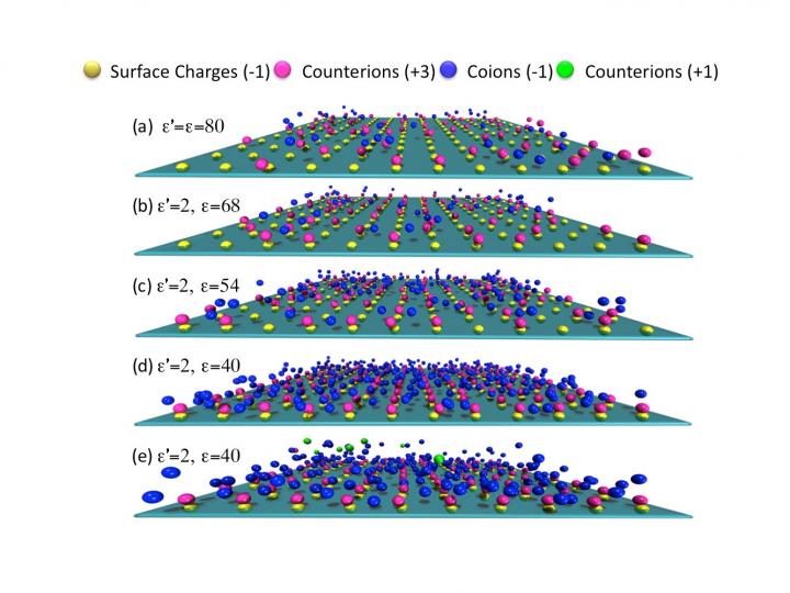 Snapshots [IMAGE] EurekAlert! Science News Releases