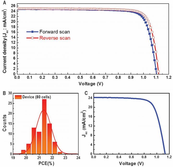 Professor Sang-Il Seok 2