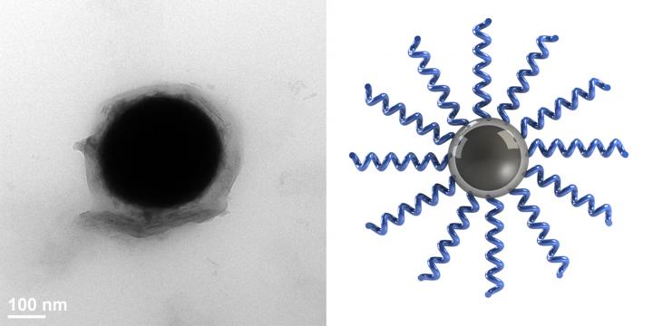 Liquid Metal Nanodroplets Grafted with Polymer Brushes