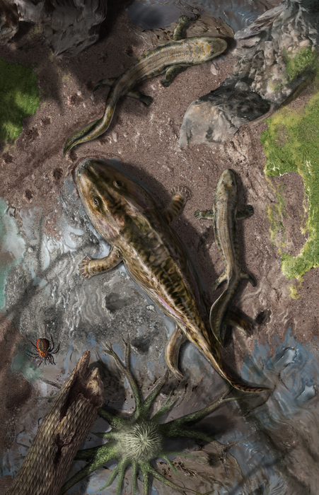 Late Devonian early tetrapods - Ichthyostega and Acanthostega