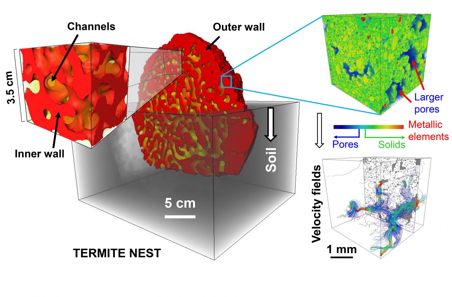 Termite Nests Are Built for Optimal Ventilation, Thermal Regulation and Drainage (1 of 2)