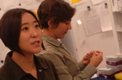 UCR Biologists Unravel the Genetic Secrets of Black Widow Spider Silk