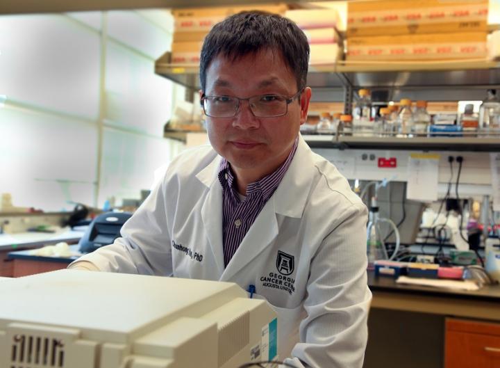 Dr. Chunhong Yan, Medical College of Georgia at Augusta University