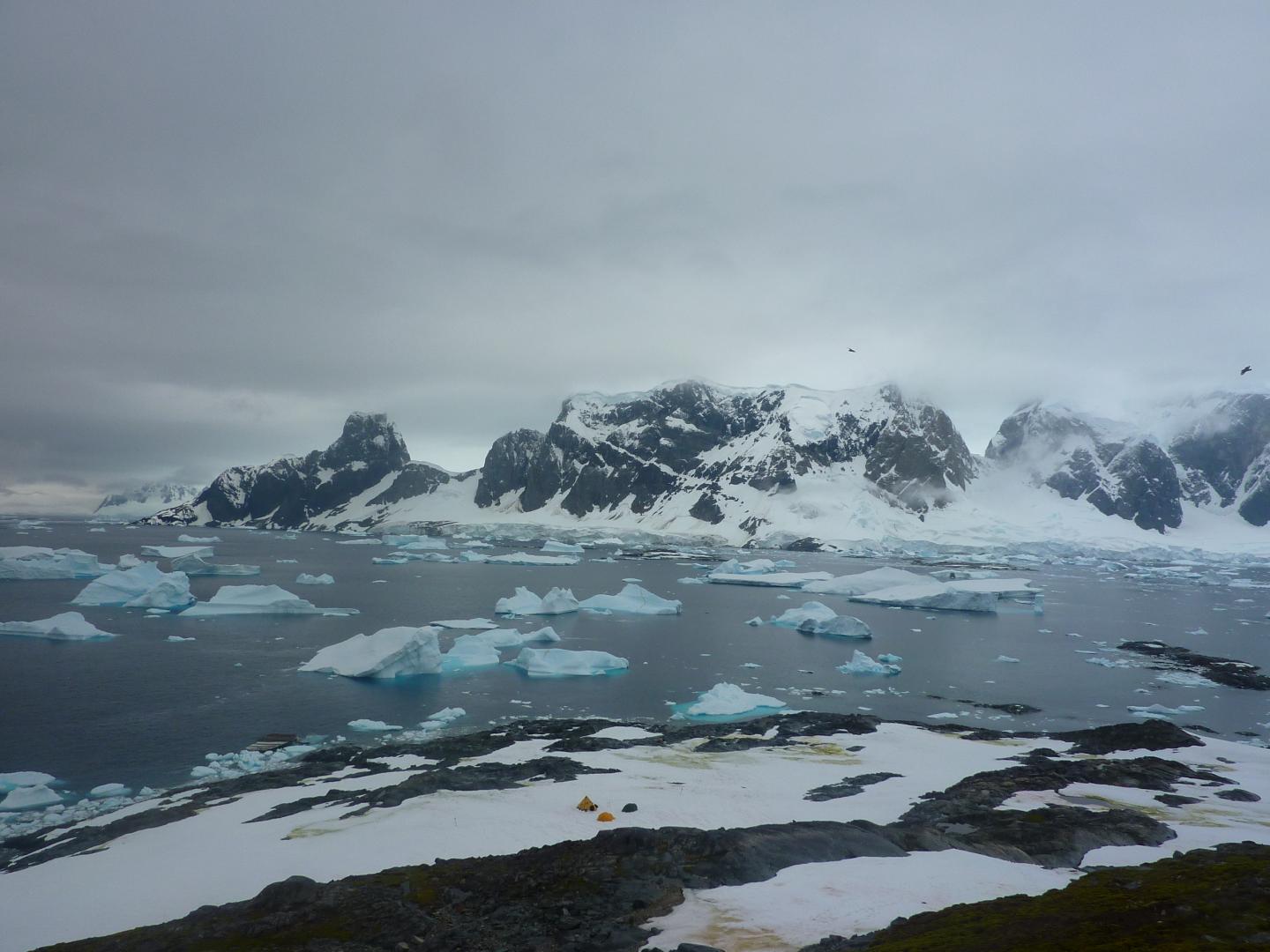 View from the Summit of Green Island