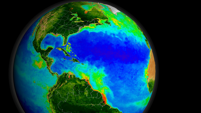 Phytoplankton blooms in the global ocean