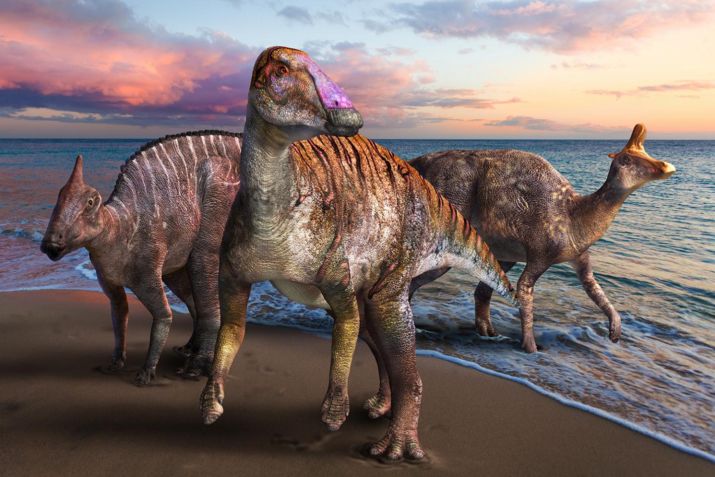 Yamatosaurus izanagii is a new duckbilled dinosaur recently discover in Japan