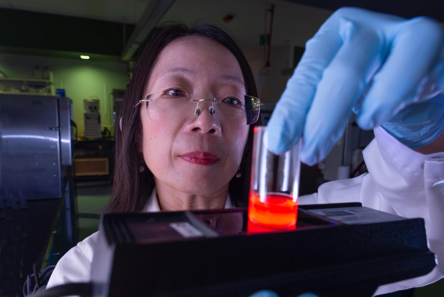 Professor Hongxia Wang