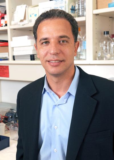 Dr. Hesham Sadek, UT Southwestern Medical Center