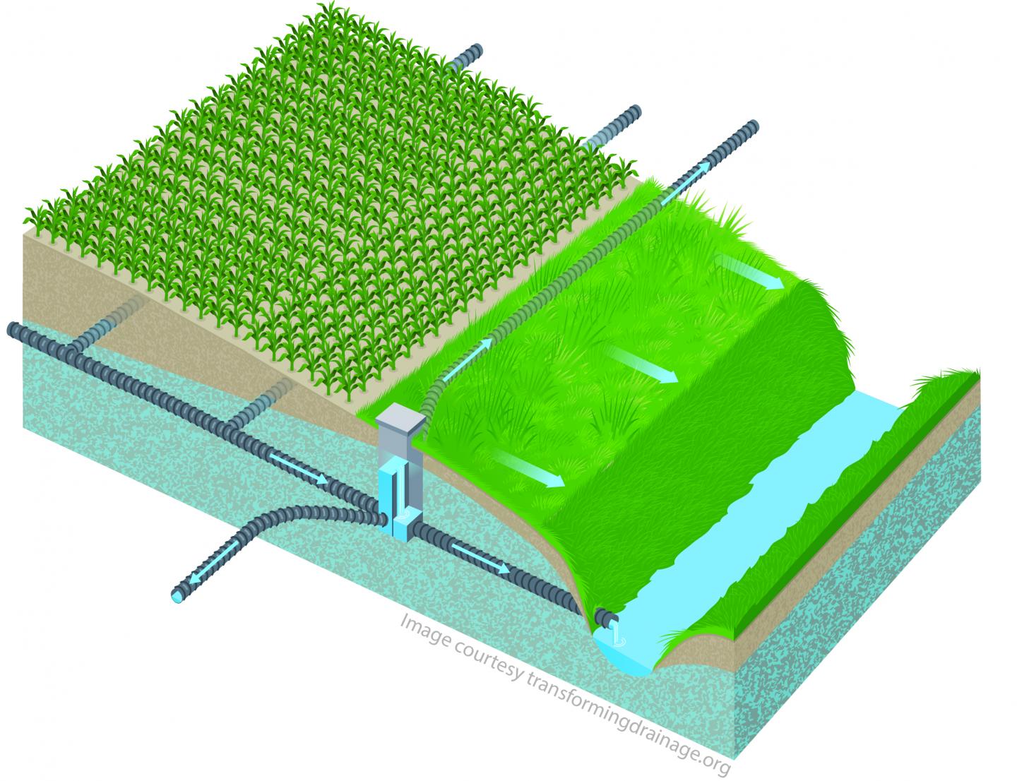 Saturated Buffer Schematic