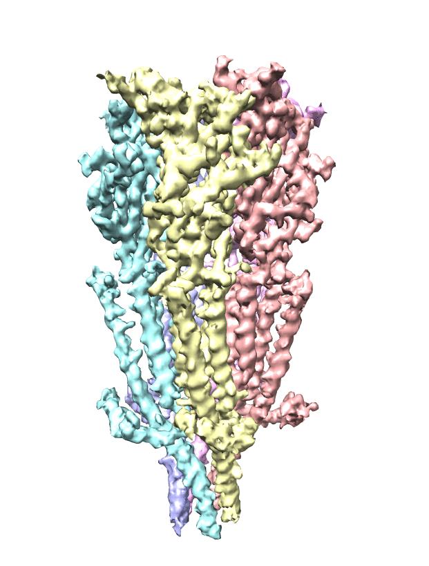 3-D Serotonin Receptor