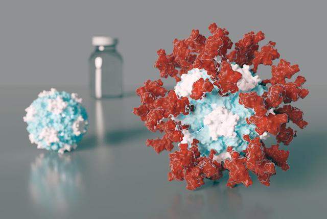 Artist's Depiction of Nanoparticle COVID-!9 Vaccine candidate