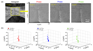 Digital holography for beads-on-a-string.