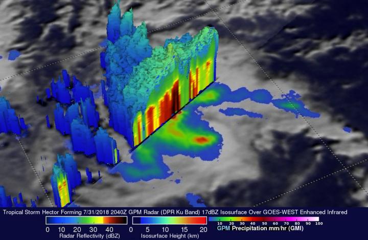 Satellite Measurements of Hector