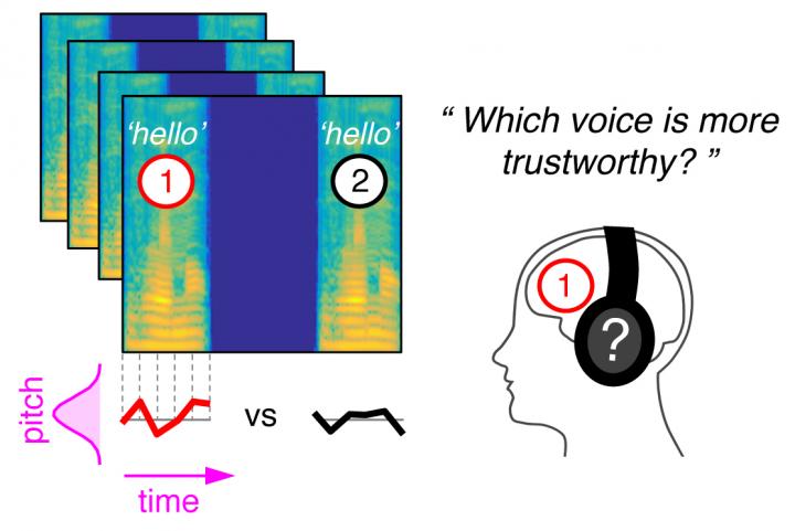 Figure: Method Used to Model Mental Representations of Vocal Intonation