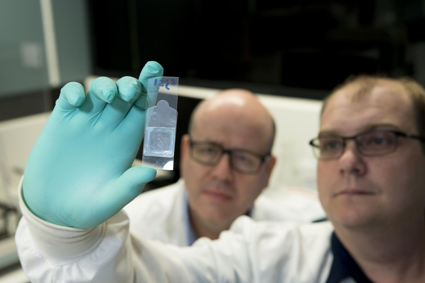 Michael Jennings and Dr. Christopher Day, Griffith University 