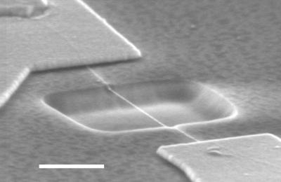 Suspended Nanotube