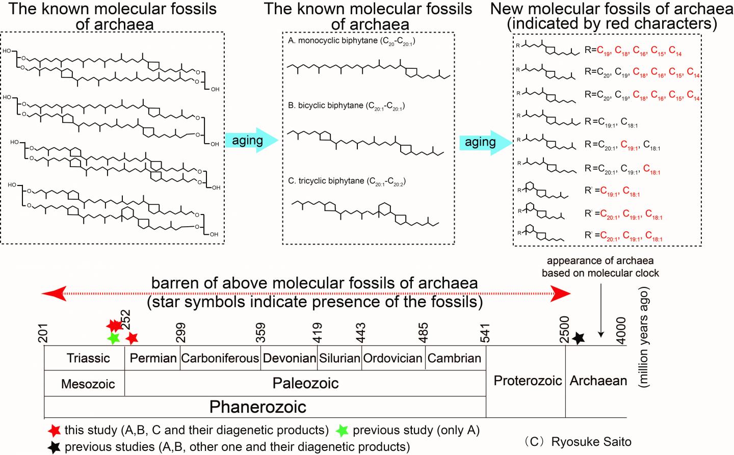 古細菌の新たな分子化石の発見 2億年より古い時代の古細菌の調査がより簡単に！