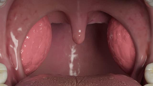 Animation of Surgery