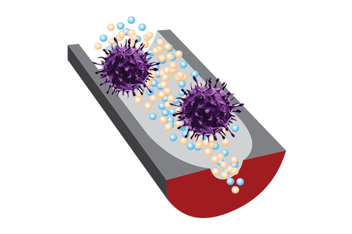 DNA aptamer-nanopore sensor