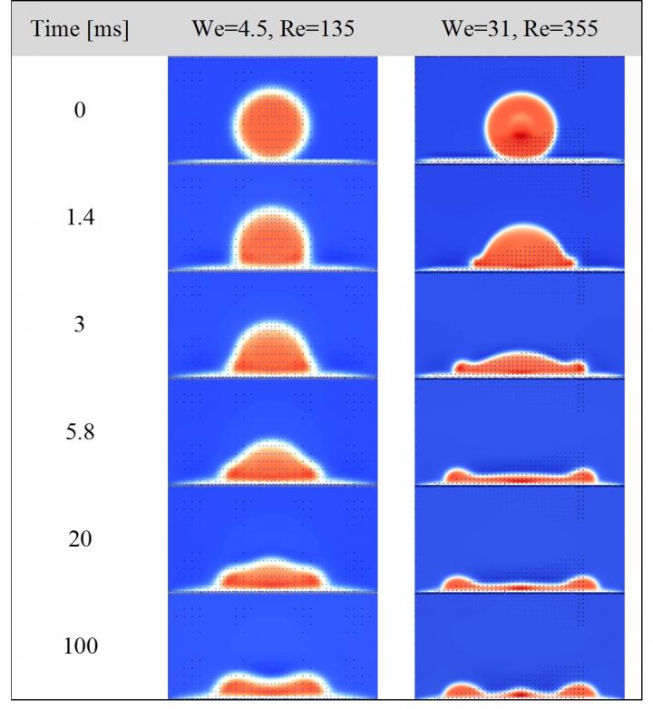 Time Wlapsed Images of the LBM Simulations