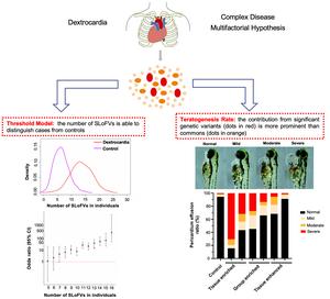 Rare loss-of-function variants reveal threshold and multifactorial inheritance of dextrocardia