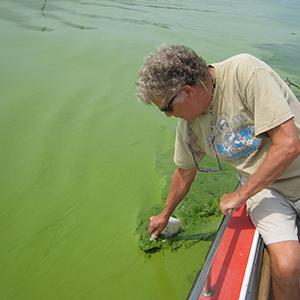 OU Professors Leading Global Research on Toxic Bluegreen Algae in Freshwaters