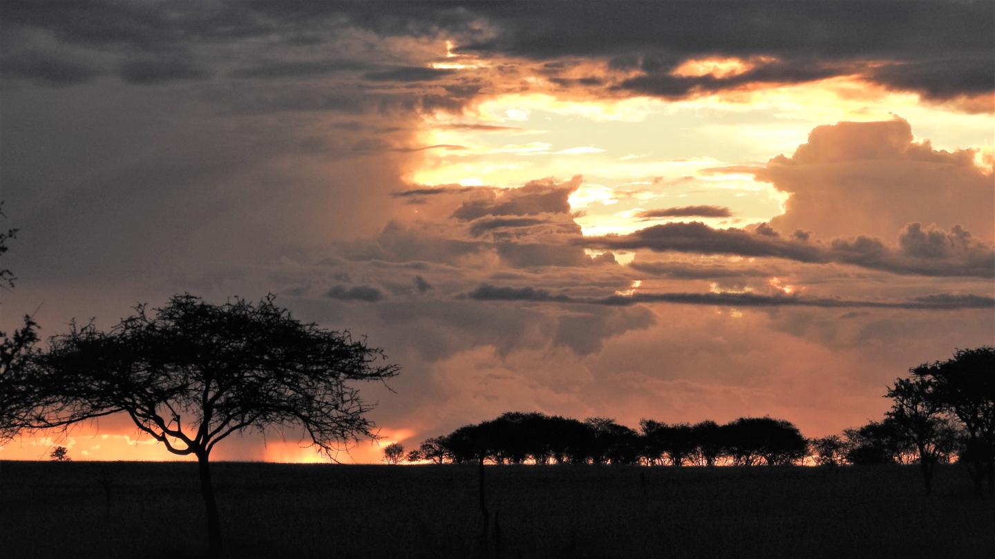 Sundown in Seronera, Serengeti National Park, Tanzania