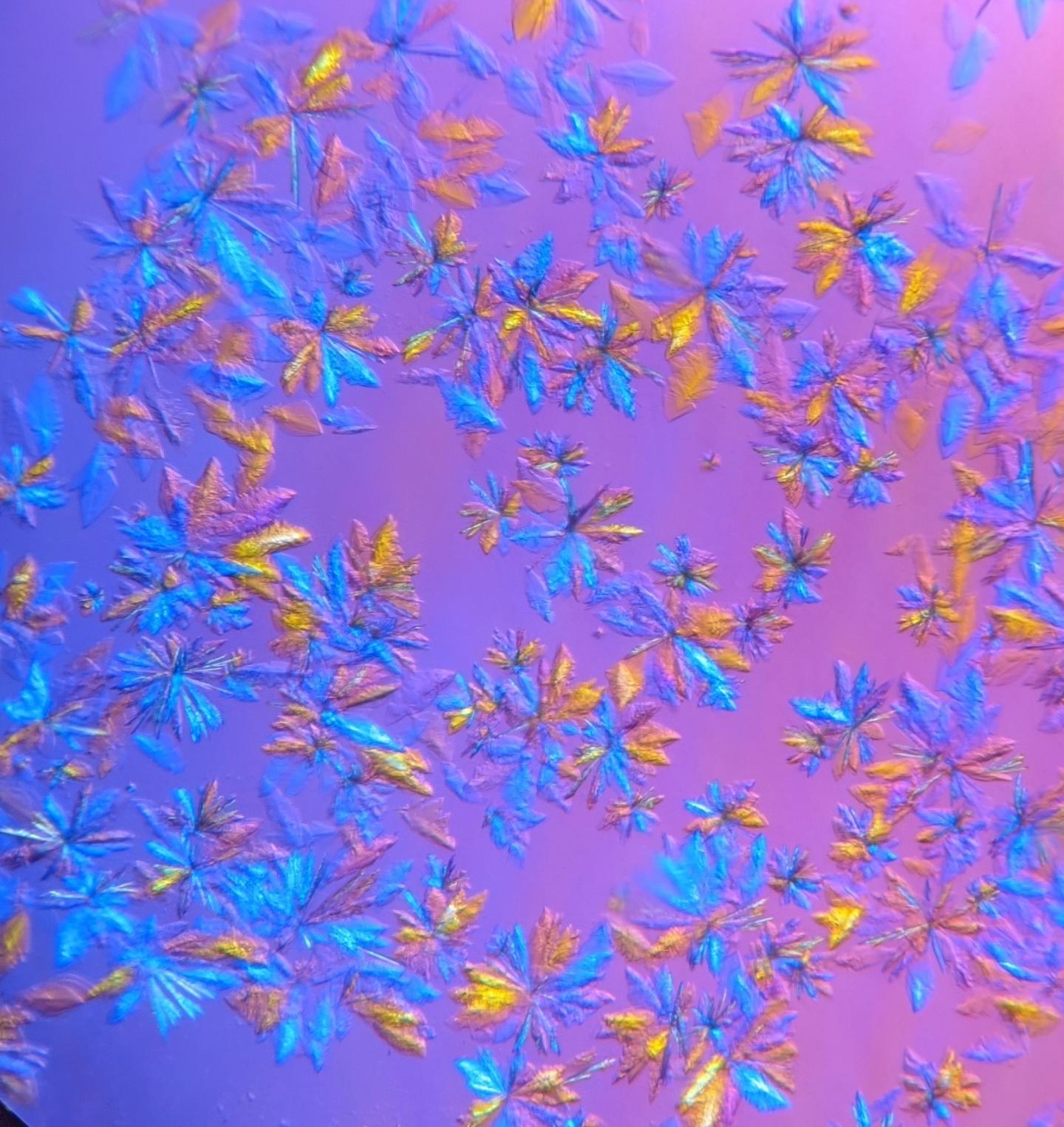 SARS-CoV-2 protease crystals