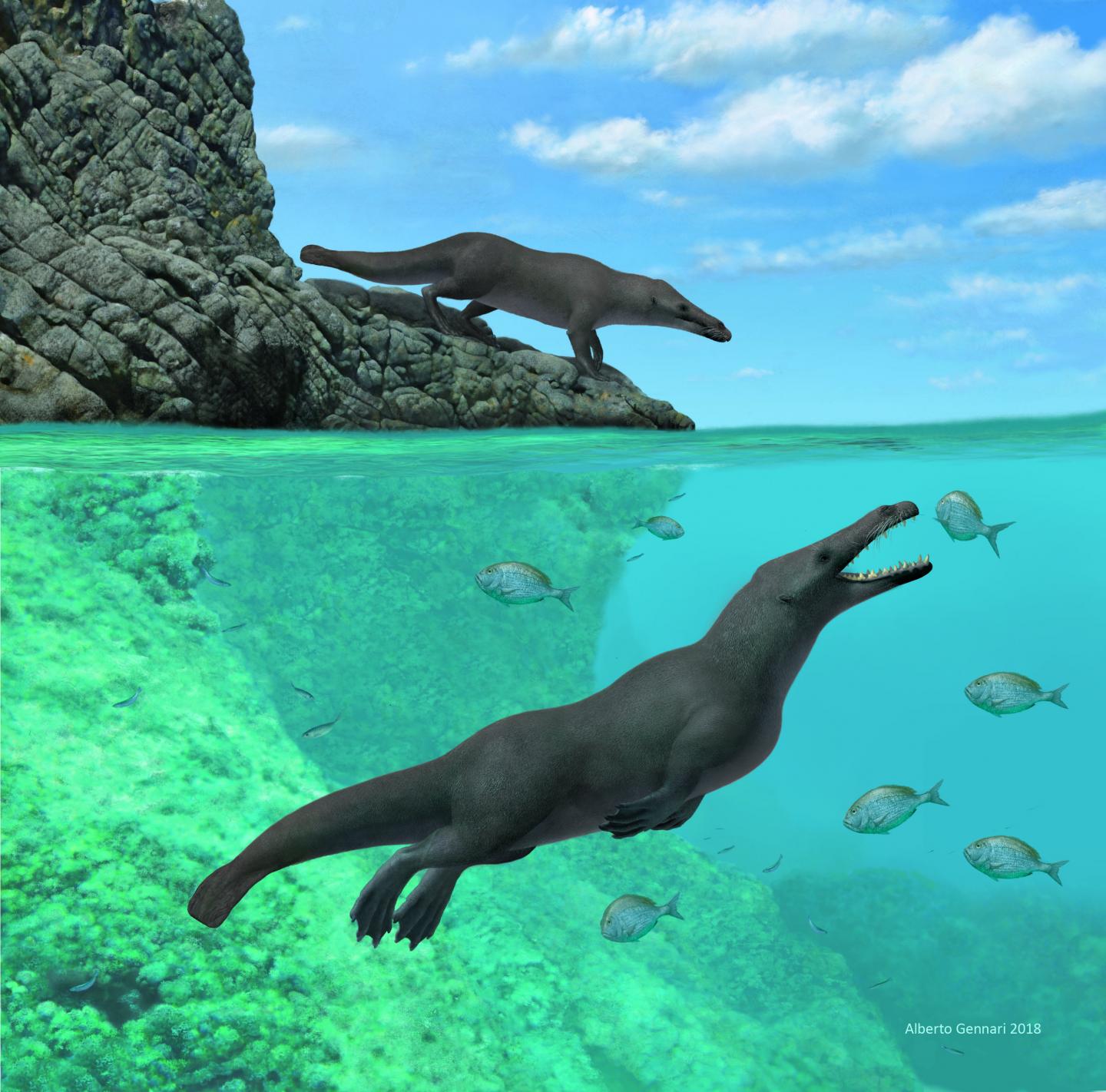Artistic Reconstruction Of Four-Legged Whale