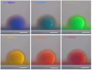 multiple light scattering effects