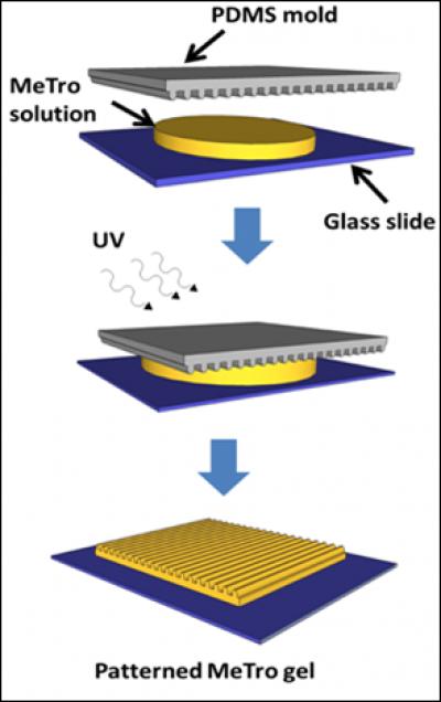 Micropatterned MeTro Gel